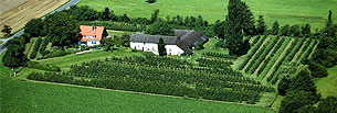Bio Apfelanbau in Schaafheim, Straßenmühle